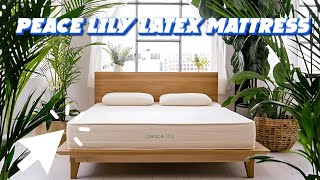 Peace Lily Latex Mattress | Peacelily Review