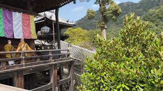 Hase-dera Temple: 360-degree view from the balcony in spring