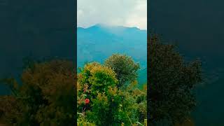 garhwali song reels//Narendra Singh Negi song (old garhwali songs)#uttarakhand #nature