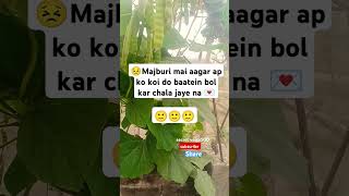 😞Majburi mai ap ko do baatein bol kar chala jaye na🙂Q k ye waqt hai badalega zarur 💌 #motivation #fy