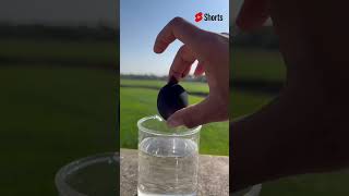 silver egg experiment #experiment #shorts #viral #trending