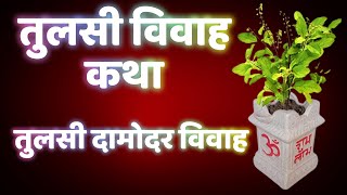 तुलसी विवाह कथा, तुलसी दामोदर विवाह | Tulsi Vivah Katha, Tulsi Damodar Vivah Ki Kahani