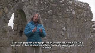 Naomh Fiacc: Scéal á insint ag an seanchaí: Nuala Hayes (the Story of St Fiacc, told by Nuala Hayes)