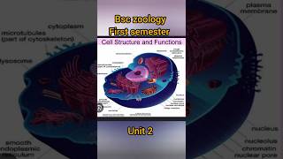 unit 2 BSc zoology 01 semester