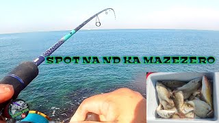 Swerte tayo ngayon harvest tau ng kanuping || Shore fishing Dubai ||