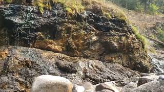 Jerry Johnson Hot Springs - N. Idaho Fall October 2022 - Linna Bossy n Me - Mushroom Foraging Trip