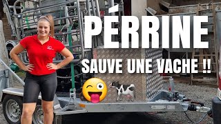 PÉRRINE PARAGE BOVIN !!