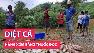 Mua thuốc độc diệt cả ao cá nhà hàng xóm