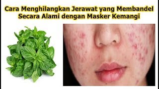 Cara Menghilangkan Jerawat yang Membandel Secara Alami dengan Masker Kemangi