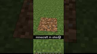 a typical day in minecraft in ohio💀