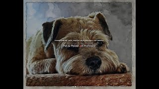 Digital Art: Pet Portraits