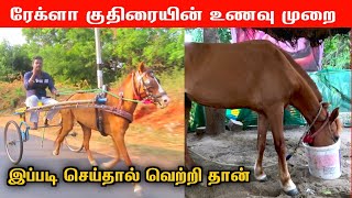 இந்த தீவனம் குடுத்தால் போதும் 🔥குதிரை தெறிக்கும் |நாட்டுகுதிரை வளர்ப்பு  rekla horse jallikattu