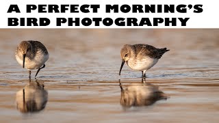 A PERFECT MORNING'S BIRD PHOTOGRAPHY