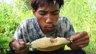 Find and Eating Bee Water Delicious