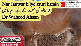 Male Breeders k lye Video - Dr Waheed Ahsan