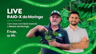 🔴LIVE - As principais dúvidas sobre MORINGA respondidas por Ricardi e Arthur Begliomini