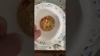 #shorts Watch Me SMASH This Cookie! | Oddly Satisfying Video | ASMR #comedy #funny #tiktok