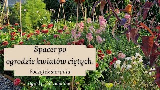 Sierpniowy spacer po ogrodzie kwiatów ciętych.