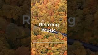 Best of Relaxing and Study Music  #short vol 14 #studymusic #dersçalışmamüziği