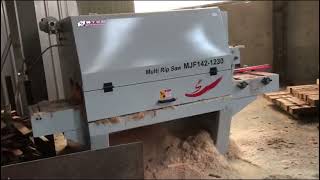 Shengong multi rip saw for cutting wood plank