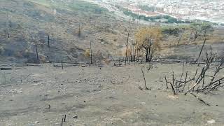 #CapeTownFires: Devils Peak covered in ash