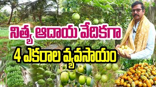 4 ఎకరాల్లో ప్రధాన పంటలు - అంతర పంటలు | Chemical Free Farming | Raghavayya