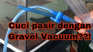 Cuci tank akuarium dengan Gravel Vacuum Cleaner??!