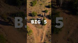 The Big 5