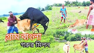 গ্রাম বাংলা গরুর মিলন 🤣||Funny Vlog  video 😄 হাসতে হাসতে পেট বেথা||😄😄