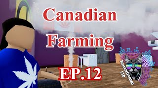 MON BAZOU Making Money Canadian Farming - EPISODE 12 Hopefully Buying Racetrack