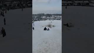 Sledding side by side with Lexi down big hill at Spindler Park