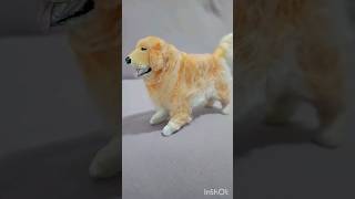 Cachorro Golden Retriever peludo com lã