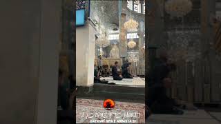 HOLY SHRINE SYEDA ZAINAB (S.A) | SHAAM | 16 RAMZAN 2024 #shorts #shaam #zainabbinteali