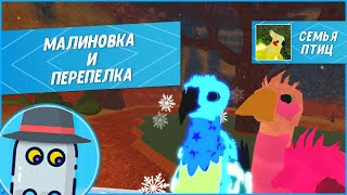 🐤Малиновка и Перепелка в Семье Птиц Роблокс Обновление 2023 Robin Quail Roblox Feather Family🐤