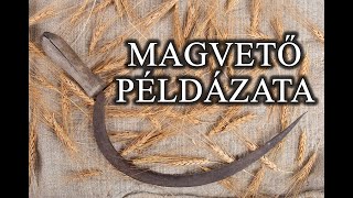 Magvető példázata | Biblia tanítások Isten igéjéből