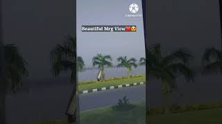 #viral Beautiful Mrg View❤😍 #morning #shorts #minivlog