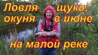 Рыбалка в июне на микроджиг. Ловля щуки и окуня летом на малой реке