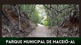 Parque Municipal de Maceió - AL #natureza #ecoturismo