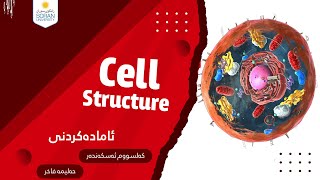 Cell Structure - پێكهاته‌ی خانه‌