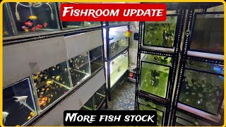 Fishroom Update | massive fishroom collection |