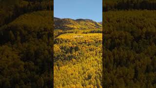 Fall in Colorado #mountains #adventuretravel #colorado #earth #fall #autumn #fallcolors #shorts