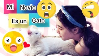 😳Mi novio es un gato: CATMAN RESUMIDo