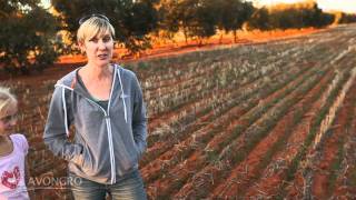 Western Australian tree farmers stories - Andrew and Suzi Sprigg of Wialki