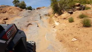 Fins & Things- Moab