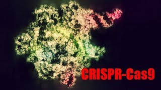 First U.S. Patients Treated With CRISPR As Human Gene-Editing Trials Get Underway