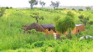 Tharparkar's beauty after rain !! Tharparkar rain !! Tharparkar 2022