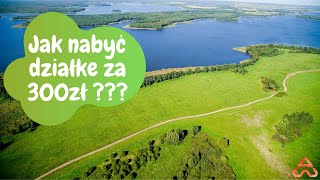 Jak działa Treeneo? Jak możesz nabyć nieruchomość za 300zł w planie Agrofortis? Artur Wiktor