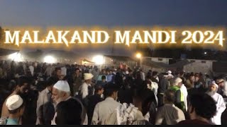 LAST NIGHT IN MALAKAND MANDI 2K24 💔 #vlog #mandi2024