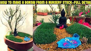 How To Make a Bonsai From a Nursery Plant-Fast N Easy