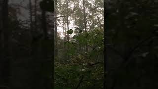 Dragons Tooth, VA Appalachian Trail Raining